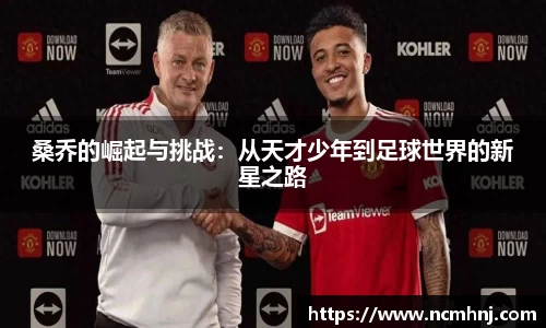 星空.综合体育官网